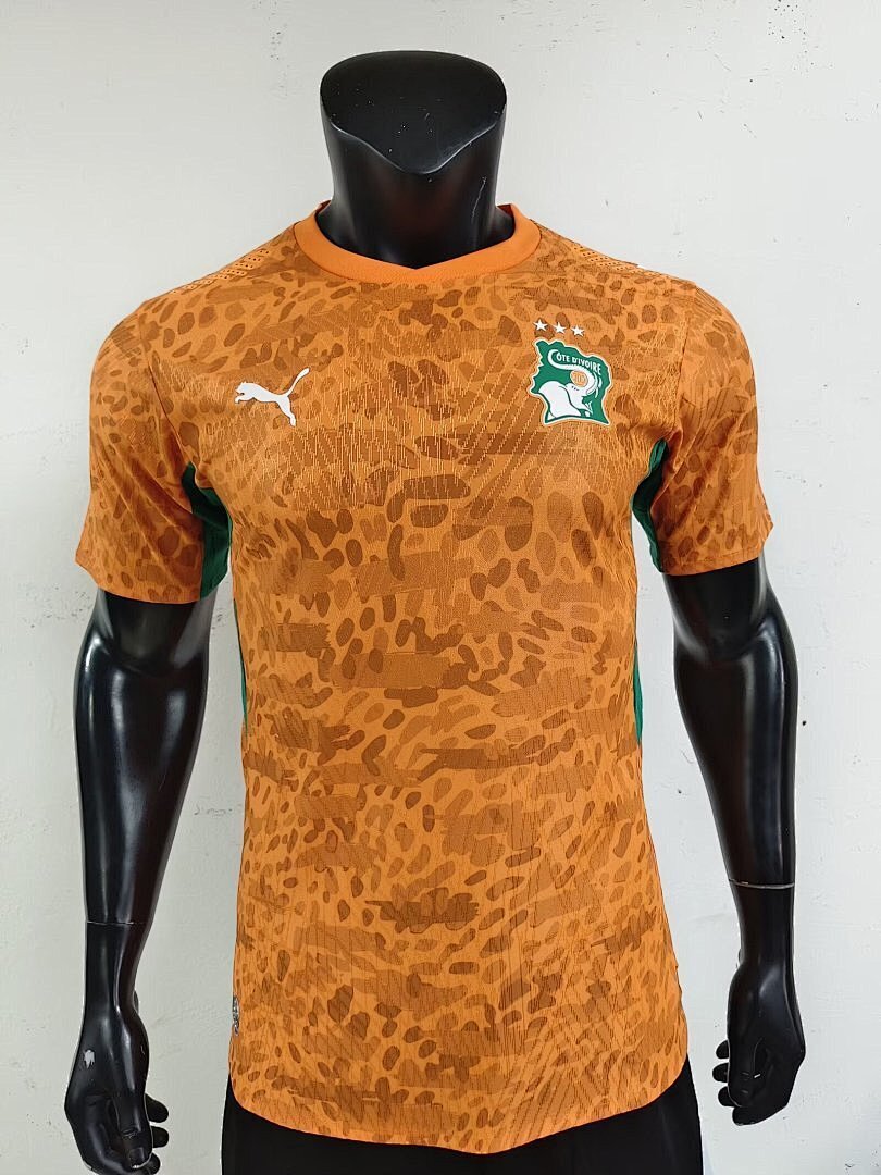 Ivory Coast World Cup 2026 Jersey - Player Version