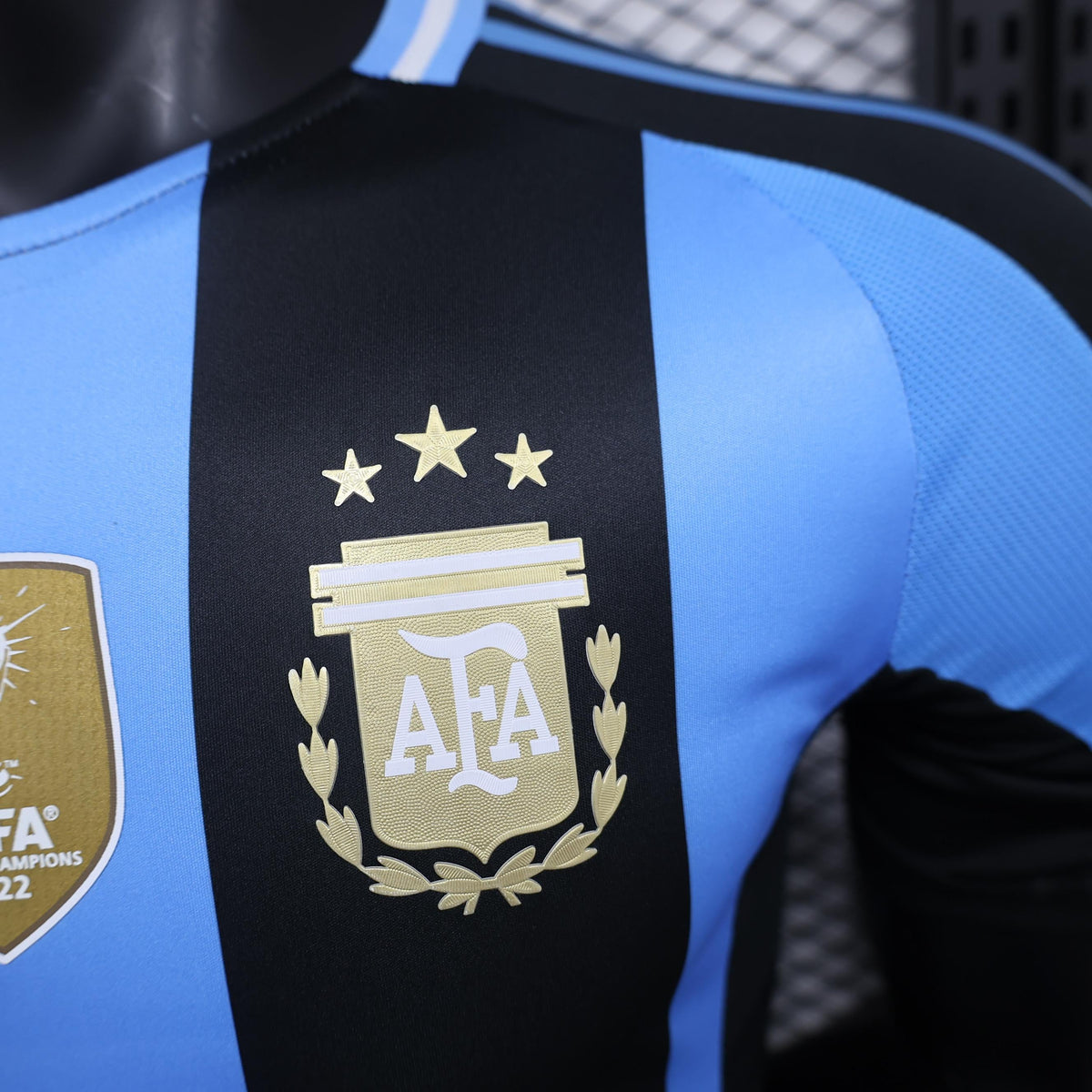 Argentina Edicion especial I Camiseta 2024/25 - Version Jugador